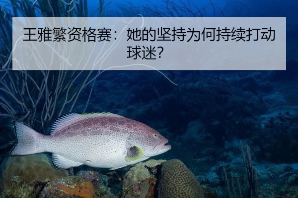 王雅繁资格赛：她的坚持为何持续打动球迷？（leyu）